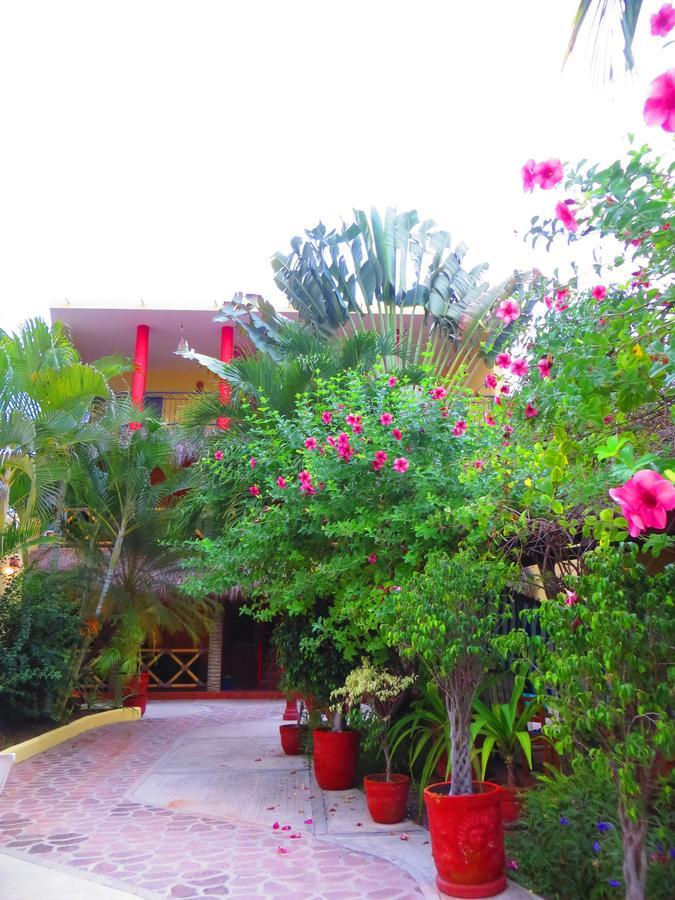 La Cruz Inn La Cruz de Huanacaxtle Luaran gambar